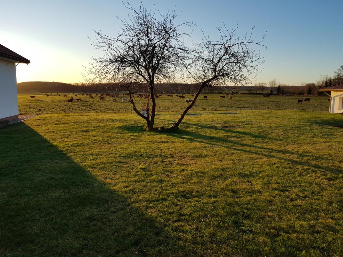 Landhotel Pathes Hof Volkenshagen Dış mekan fotoğraf