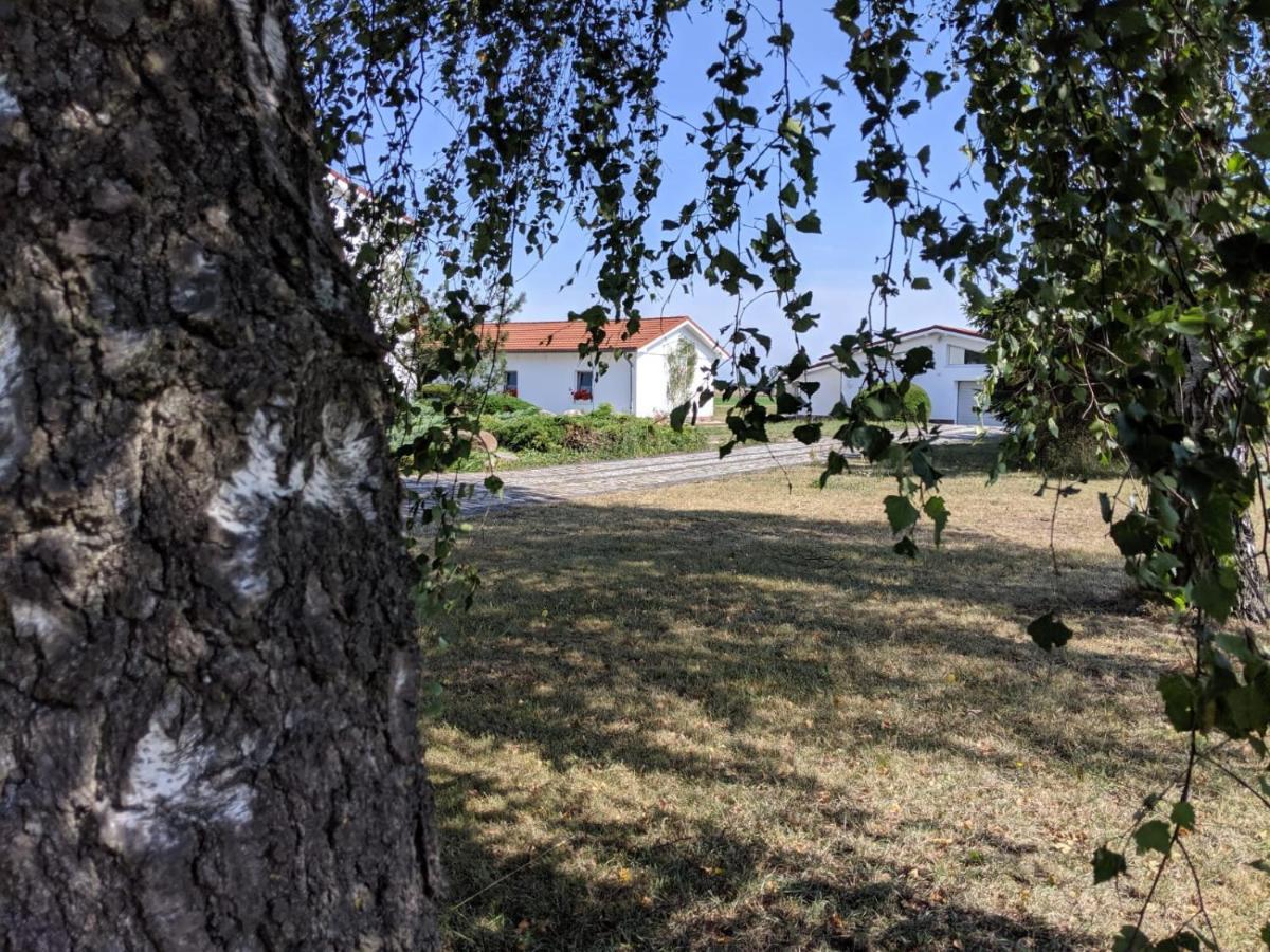 Landhotel Pathes Hof Volkenshagen Dış mekan fotoğraf